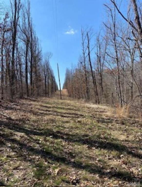 0 Red Wing Road Waynesville, MO 65583 - Photo 17 of 19 Gallery Image 17