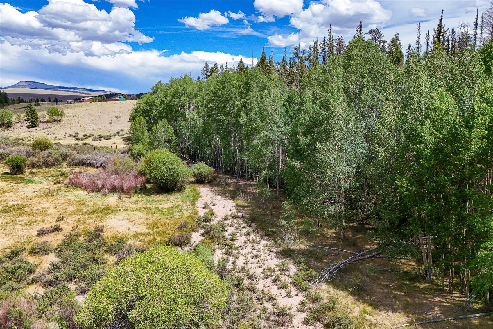 1111 Latigo Loop Hartsel, CO 80449 - Photo 8 of 20
