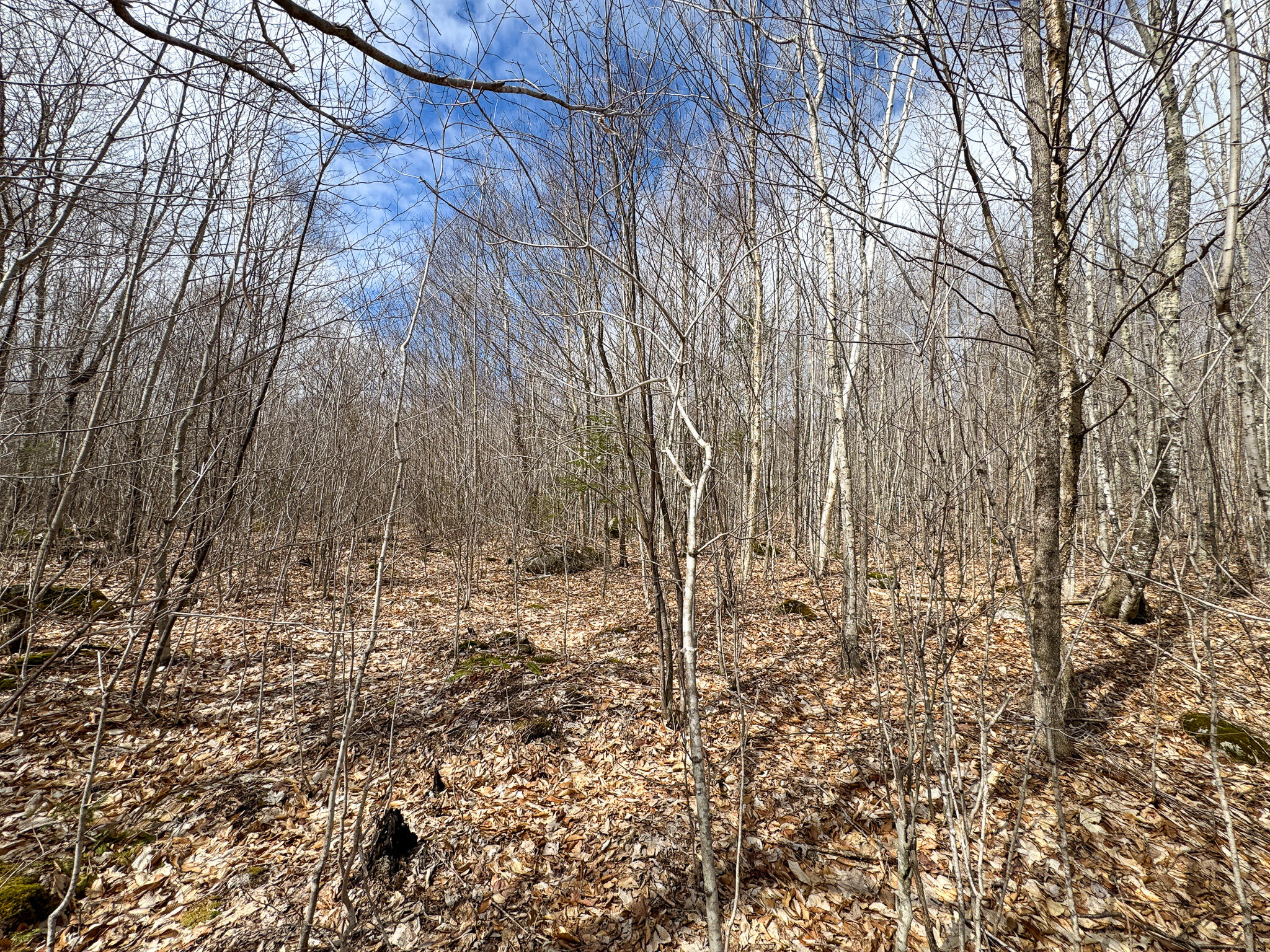 Lot 16 Upper Dobsis Road Lakeville, ME 04487 - Photo 16 of 26 16