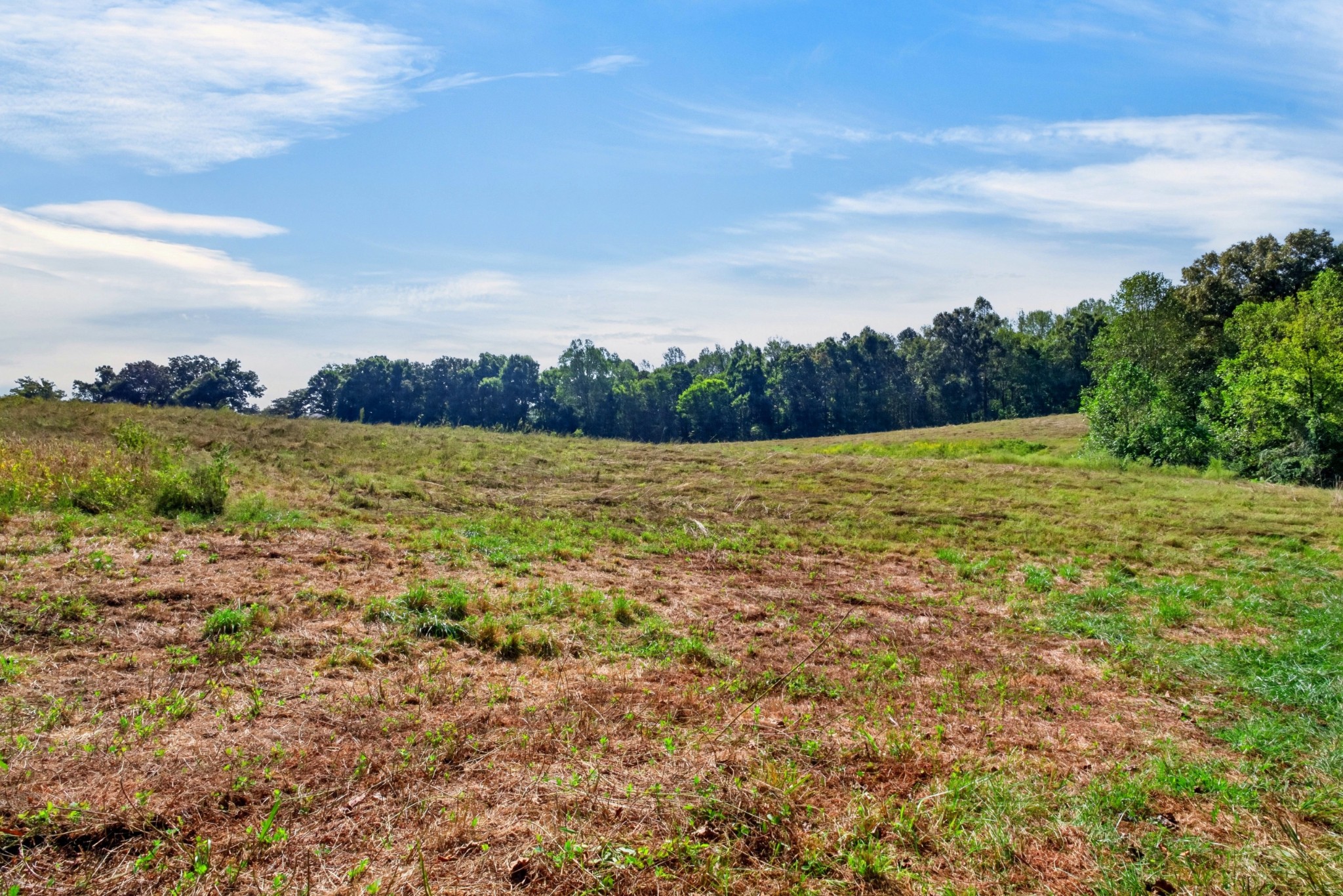 0 New Home Road Smithville, TN 37166 - Photo 7 of 17 Gallery Image 7
