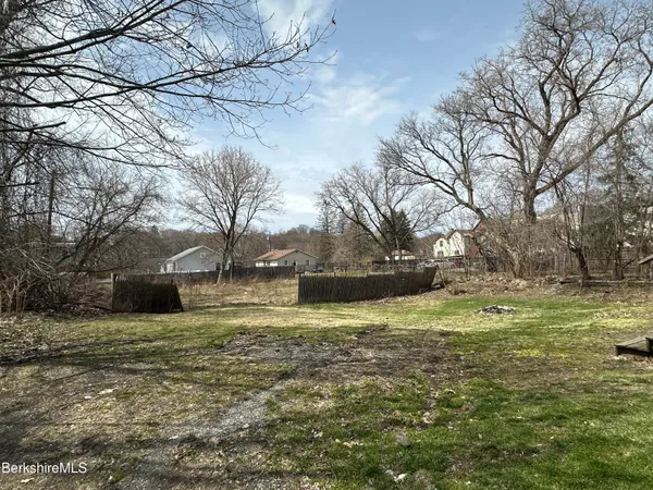 a view of a yard with large trees