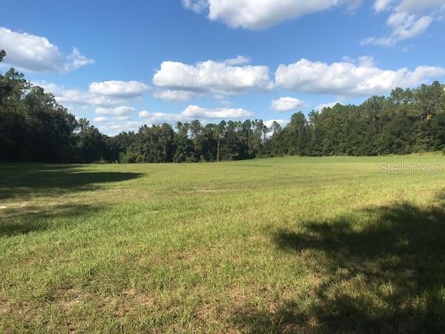 Reed Road Dade City, FL 33523 - Photo 1 of 1