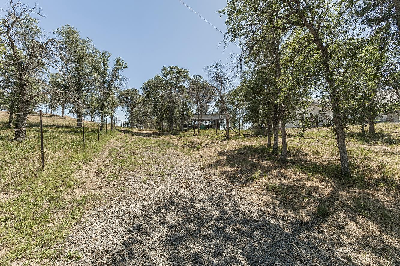 14815 Garlock Lane Prather, CA 93651 - Photo 66 of 80 a view of a yard with a tree