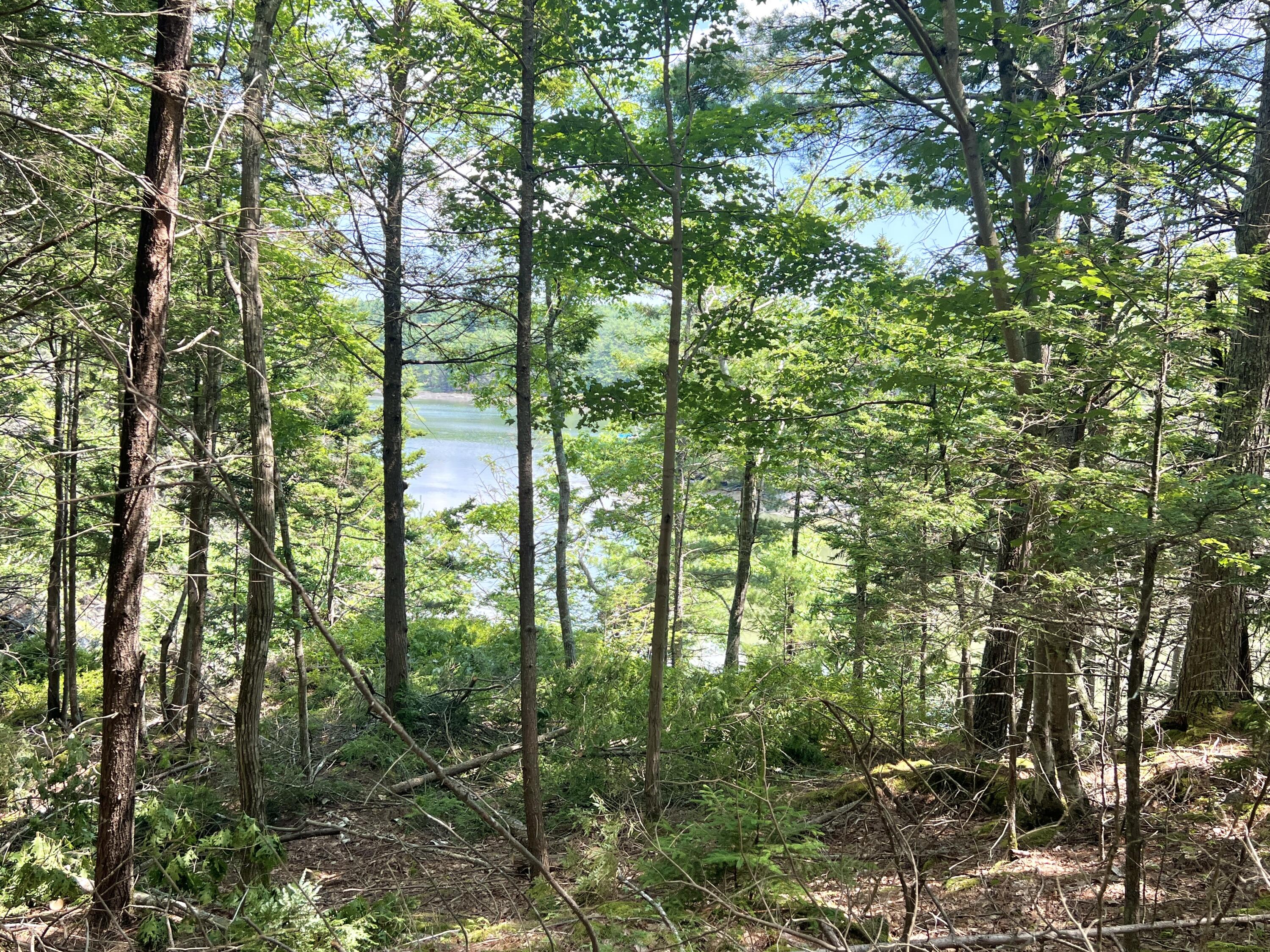 Lot A Mountain Road West Bath, ME 04530 - Photo 18 of 19 IMG_2529