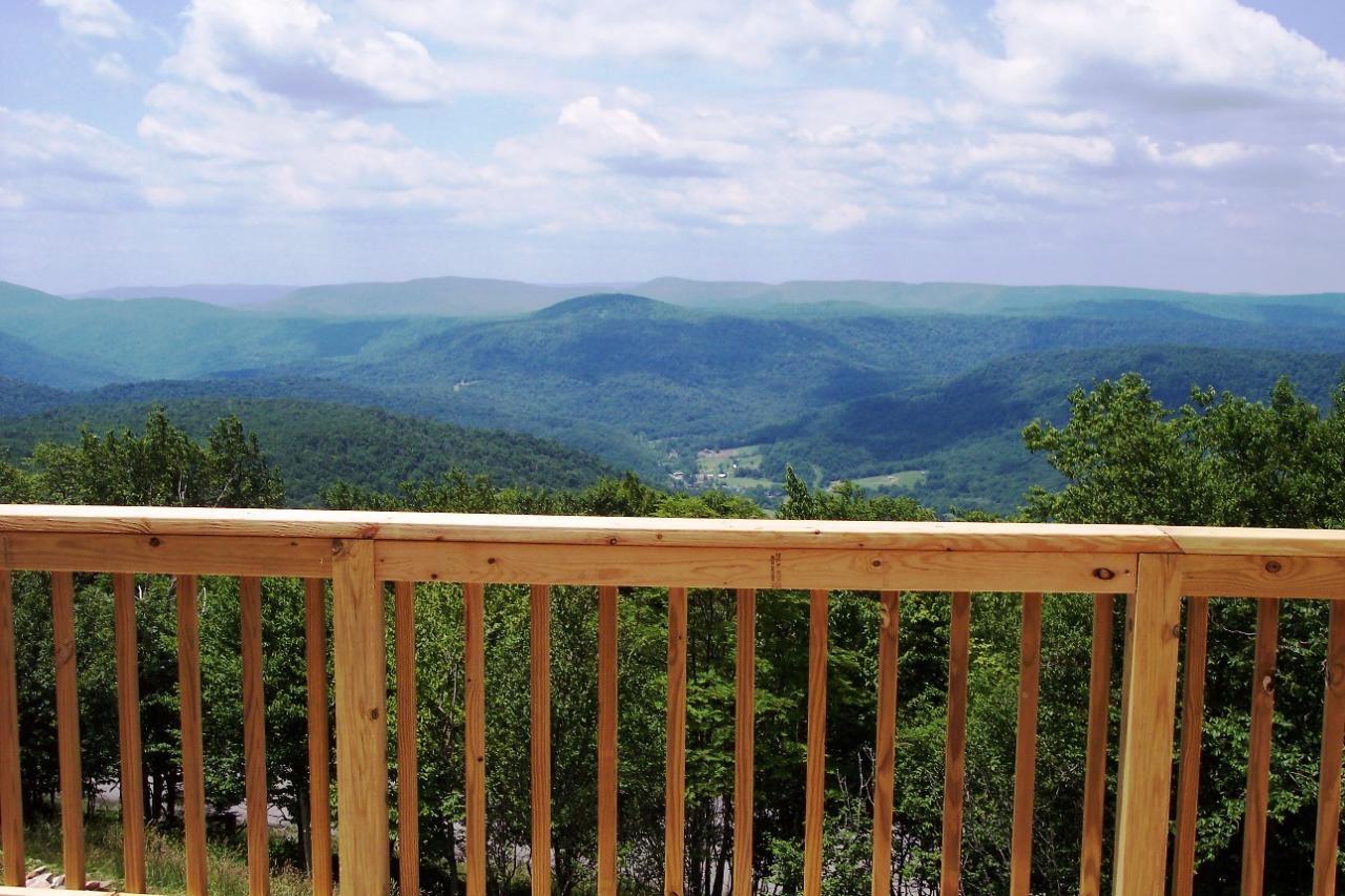 93 South Westridge Road Slatyfork, WV 26291 - Photo 4 of 7 dallas4