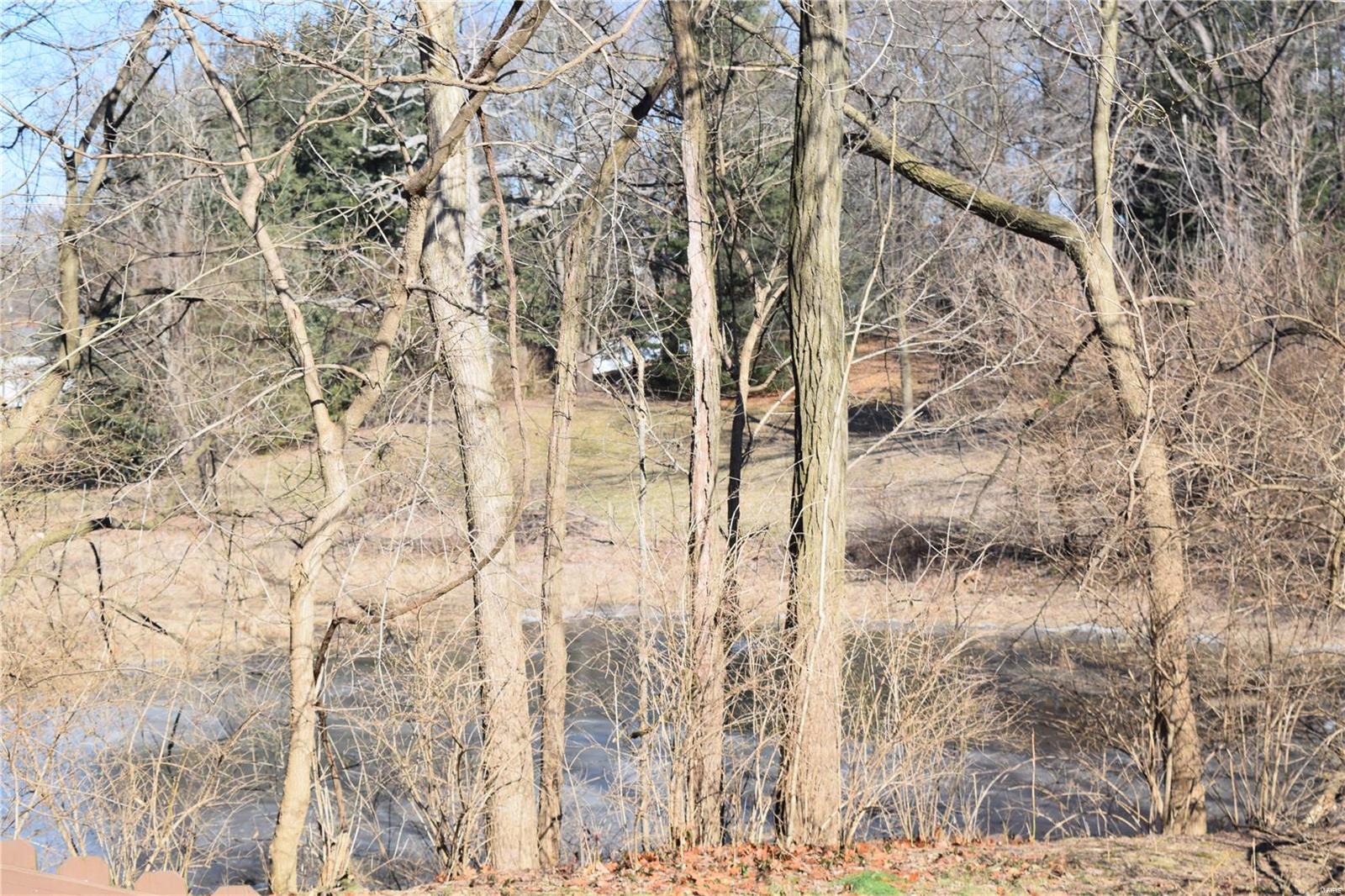 2019 Raintree Trail Collinsville, IL 62234 - Photo 73 of 77