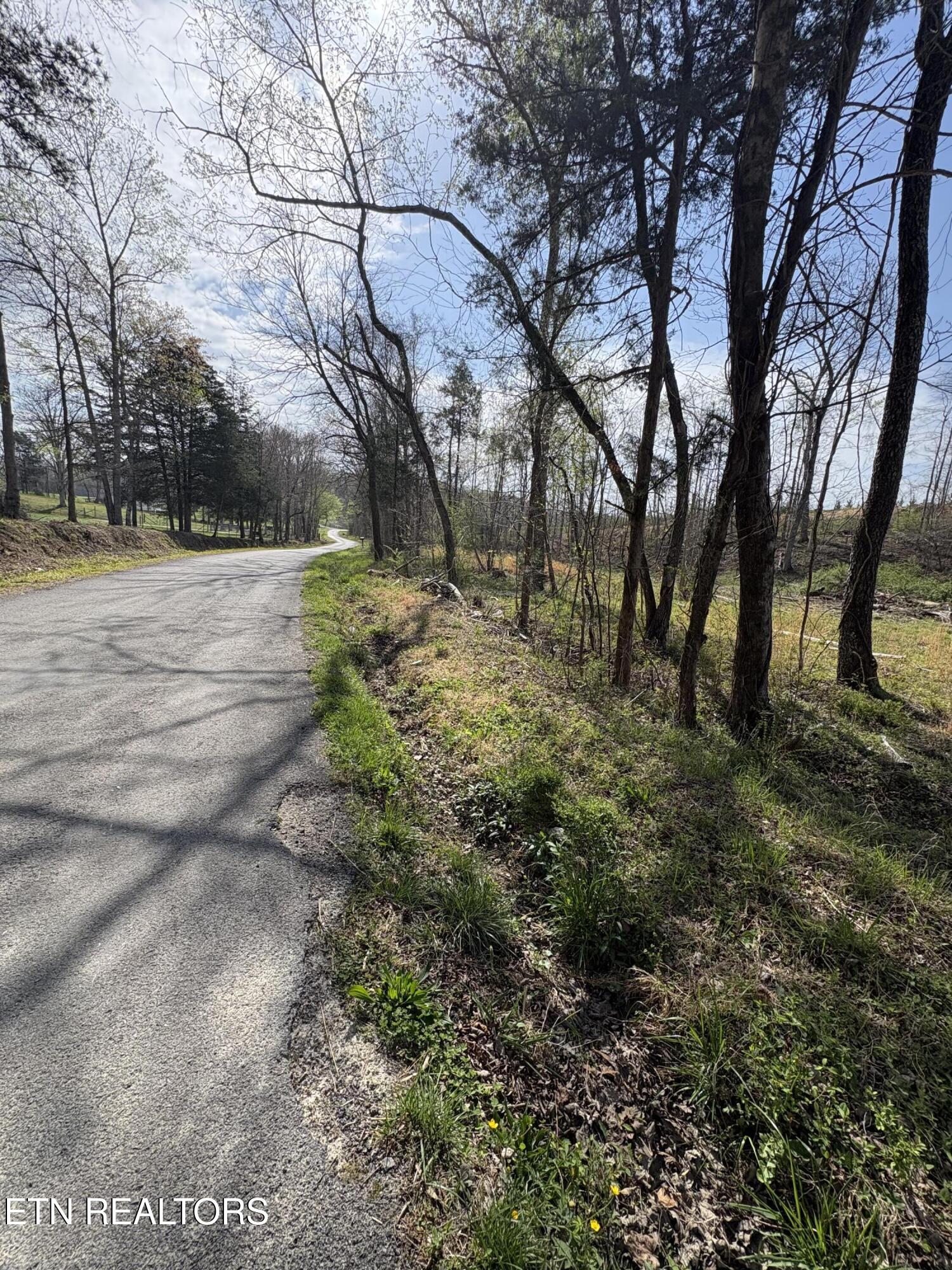 706 Arwine Road Decatur, TN 37322 - Photo 2 of 9 IMG_5790