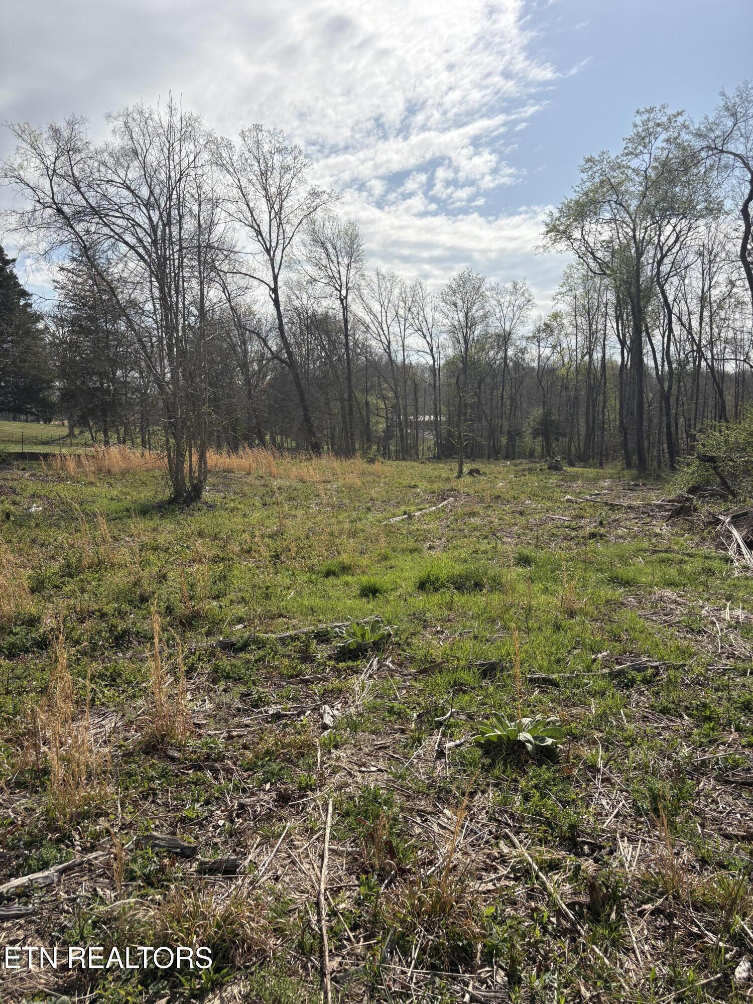 706 Arwine Road Decatur, TN 37322 - Photo 7 of 9 IMG_5797