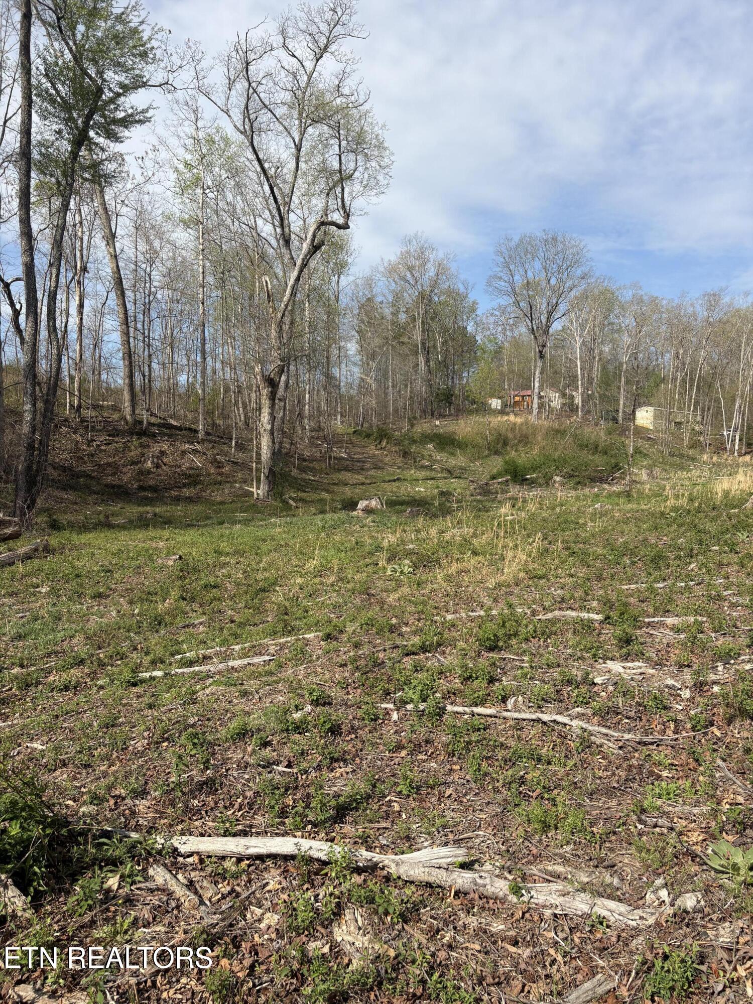 706 Arwine Road Decatur, TN 37322 - Photo 8 of 9 IMG_5799