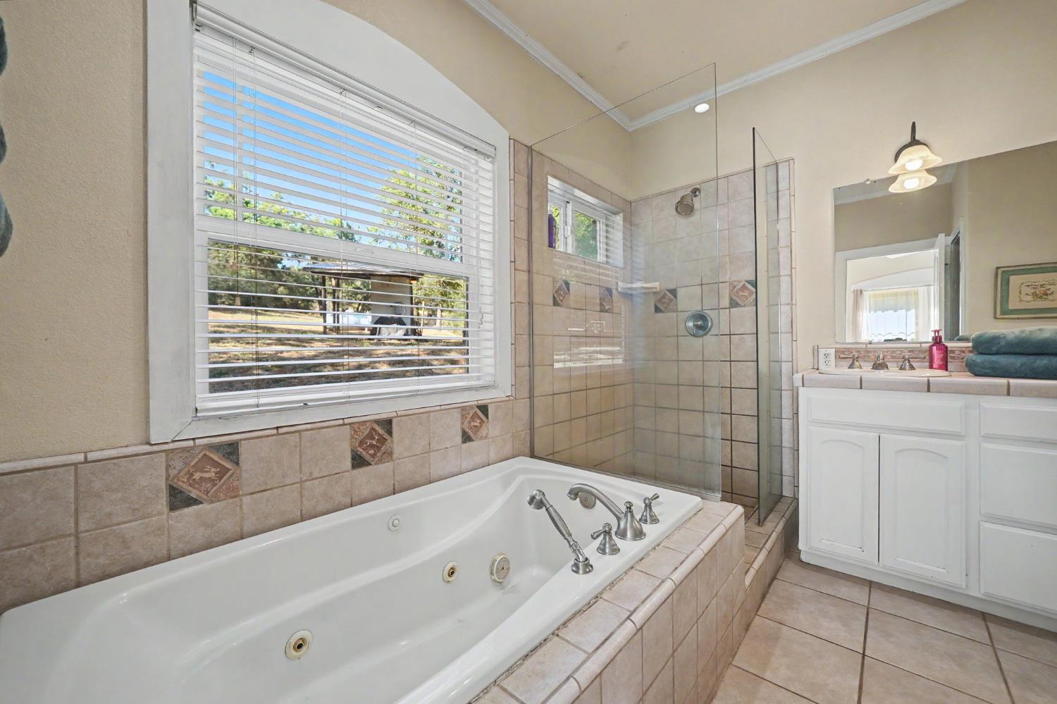16671 Fiddletown Road Fiddletown, CA 95629 - Photo 31 of 71