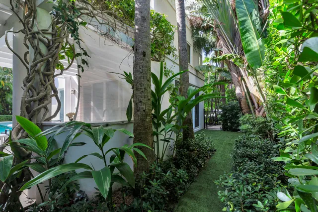 a plant with lots of green space