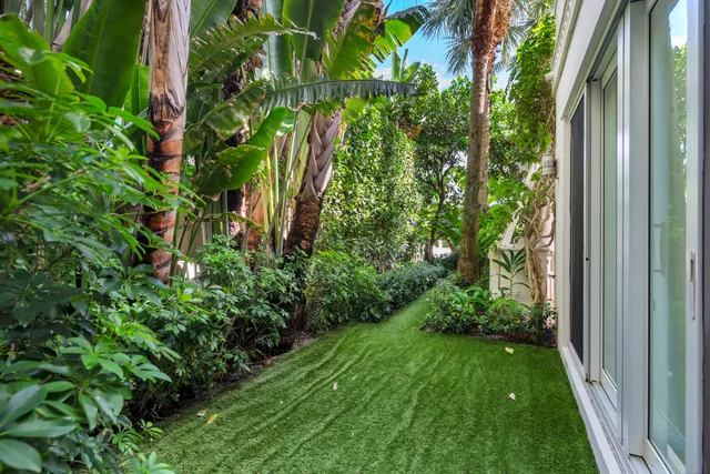 a view of a yard with plants and a plant