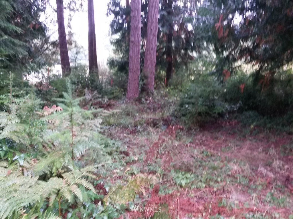 7701 Bailey Road Clinton, WA 98236 - Photo 1 of 4 Gallery Image 1