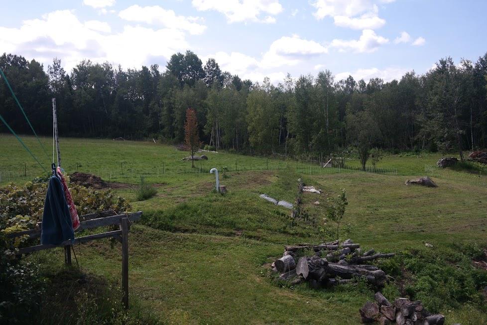 340 Bailey Road Alexandria, NH 03222 - Photo 2 of 7