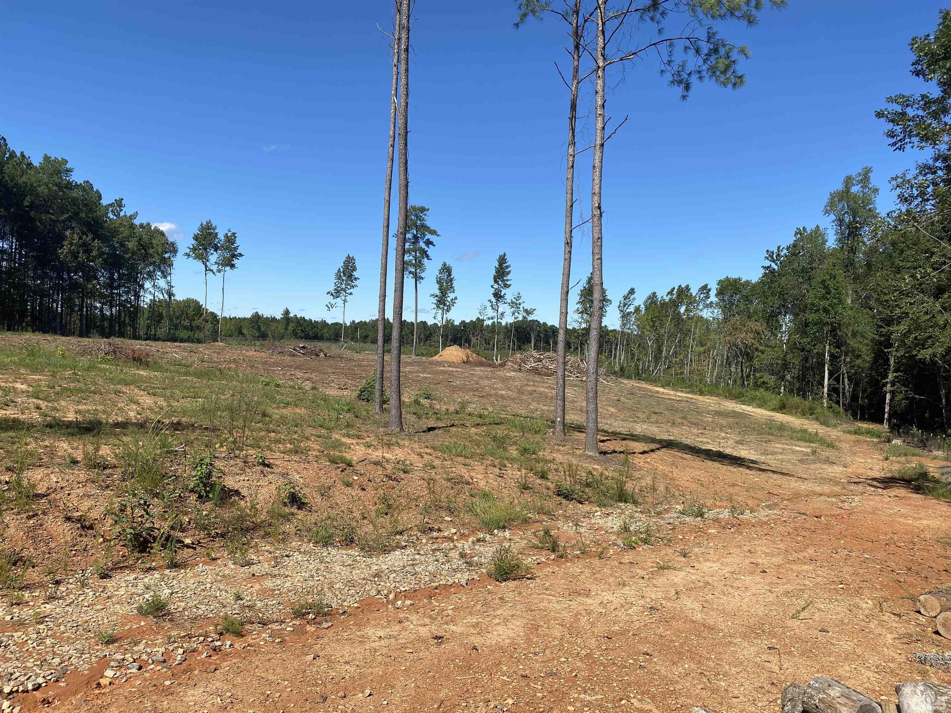 259 Embro-Vaughn Road Macon, NC 27551 - Photo 9 of 29 Gallery Image 9