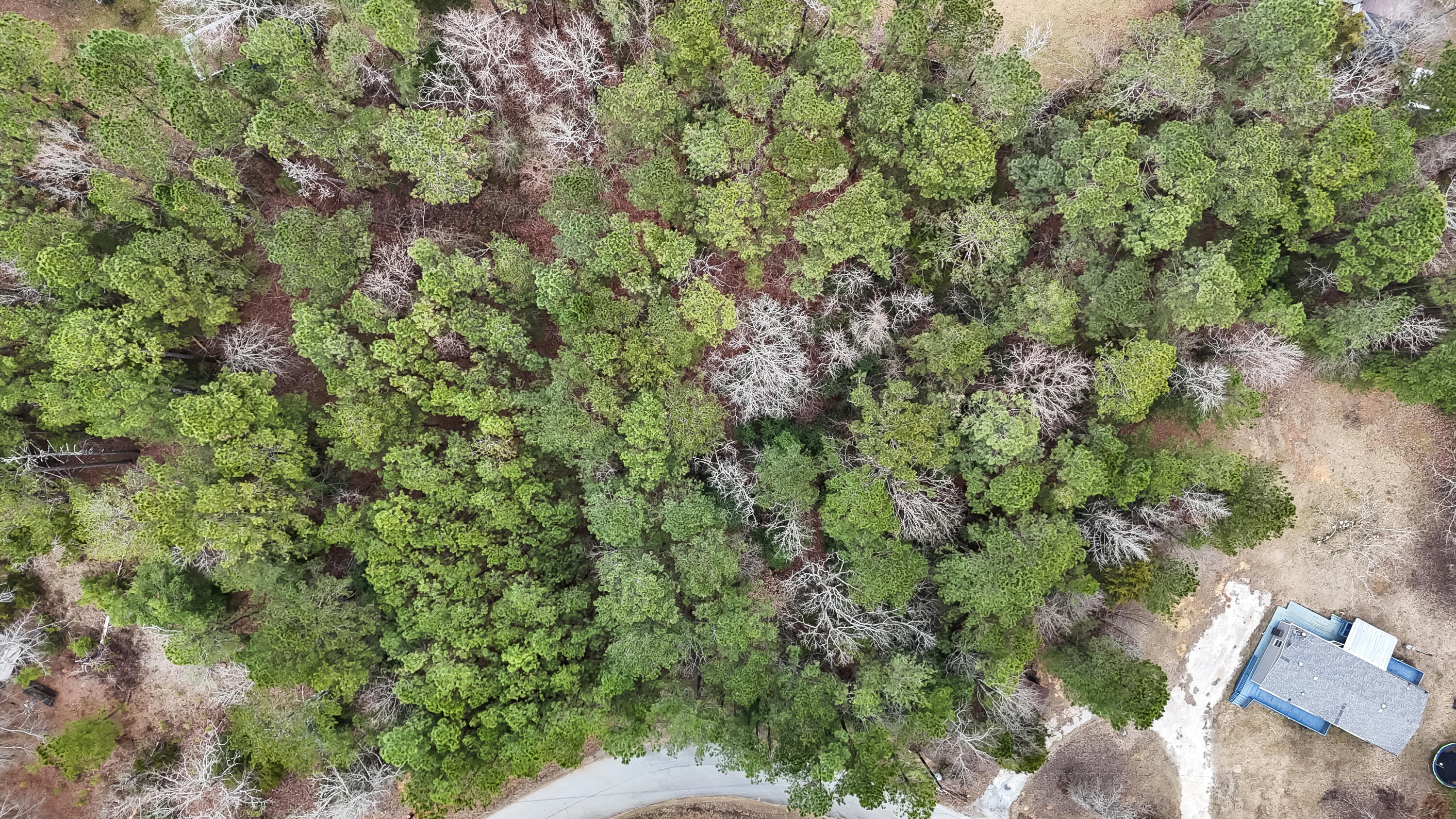 0 Twin Ponds Road Newberry, SC 29108 - Photo 14 of 19