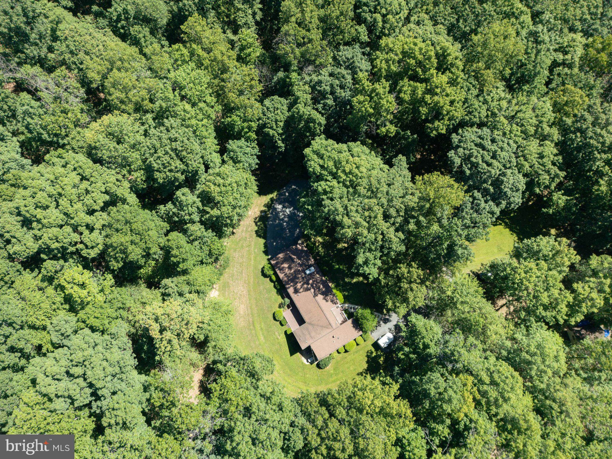 6067 Pilgrims Rest Road Broad Run, VA 20137 - Photo 4 of 58 Secluded retreat amidst lush greenery.