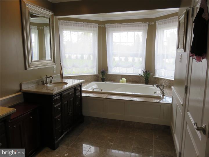 43 Williams Way Spring City, PA 19475 - Photo 11 of 25 Master Bathroom