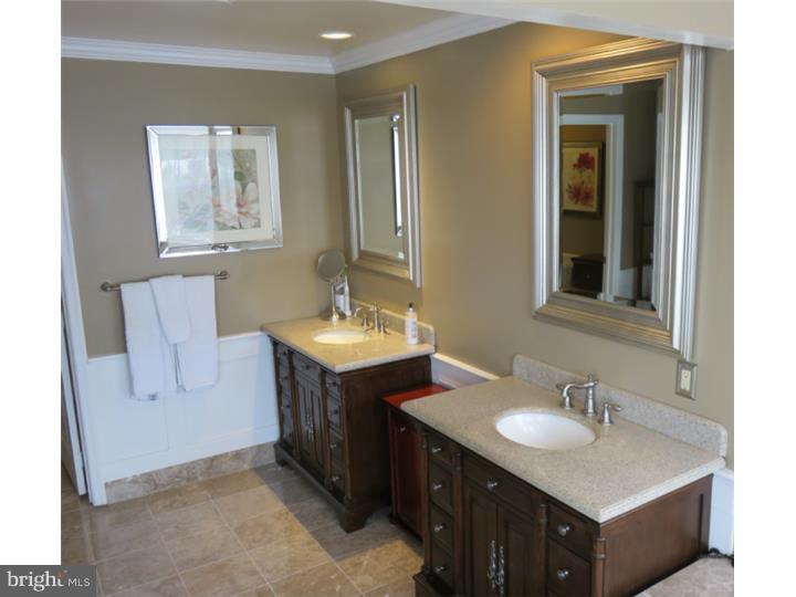 43 Williams Way Spring City, PA 19475 - Photo 10 of 25 Master Bathroom