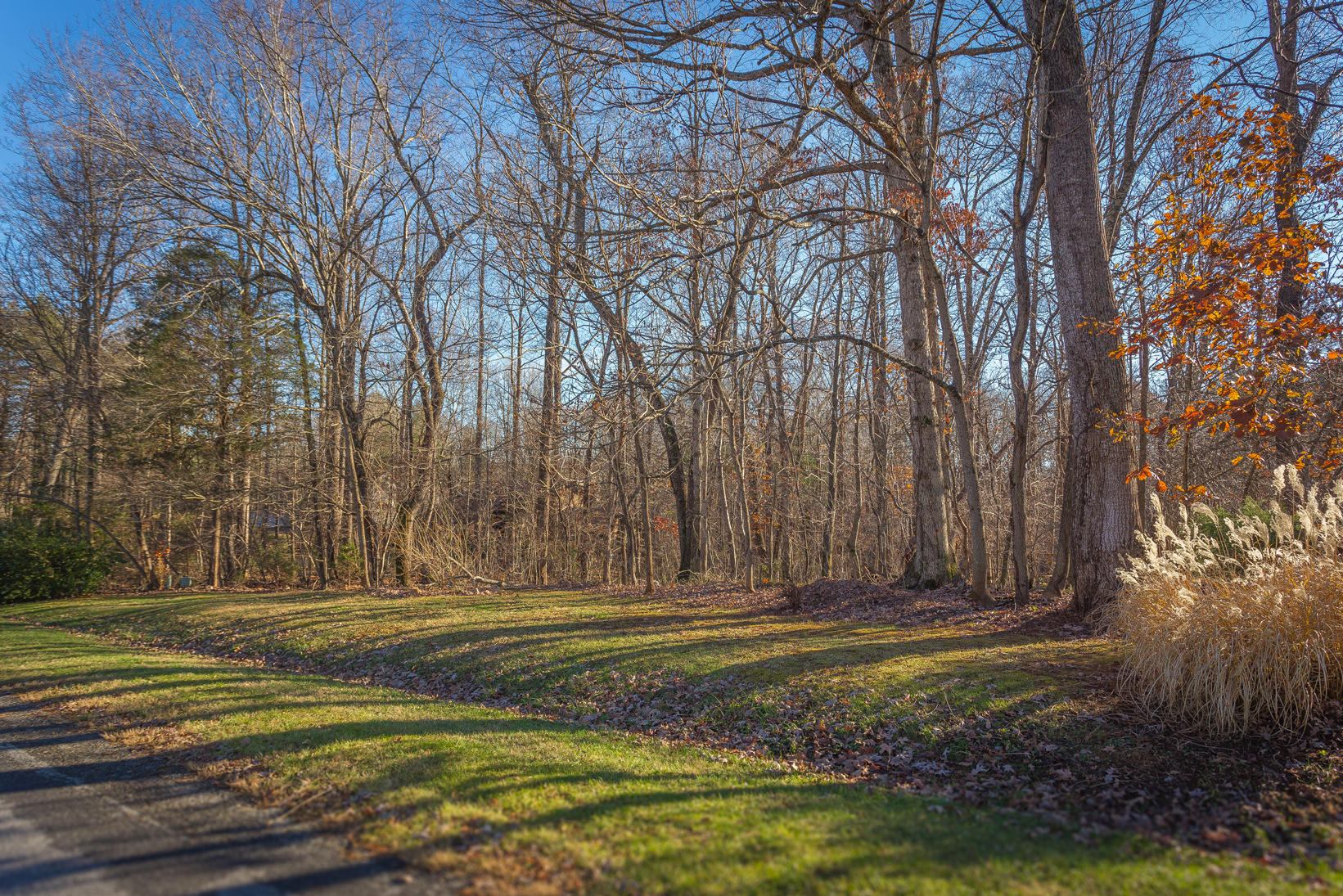 378 Teel Brooke Road Rocky Mount, VA 24151 - Photo 40 of 46 Yard