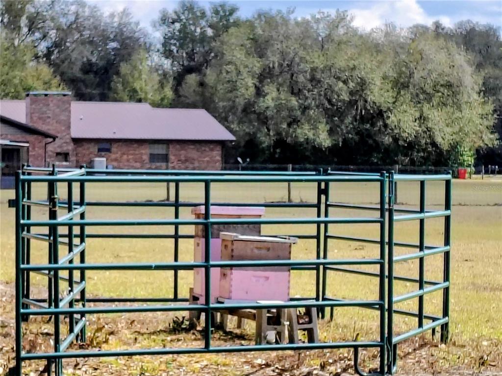 14240 State Rte 471 Webster, FL 33597 - Photo 42 of 53