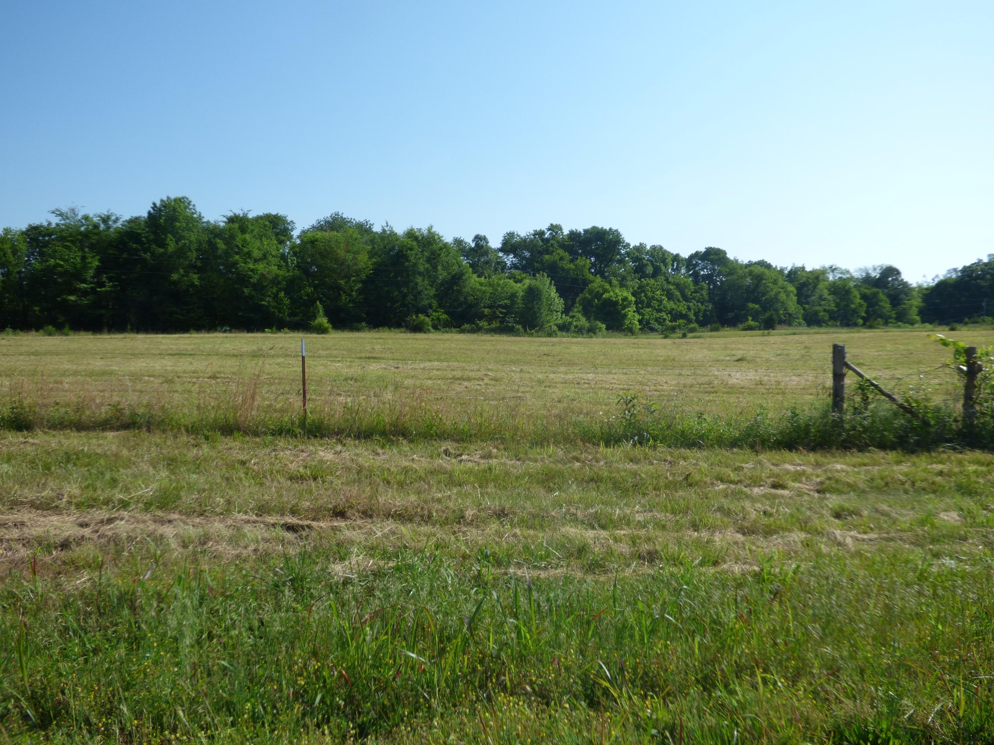 36 Lakescene Road Kingston, TN 37763 - Photo 20 of 23 Gallery Image 20
