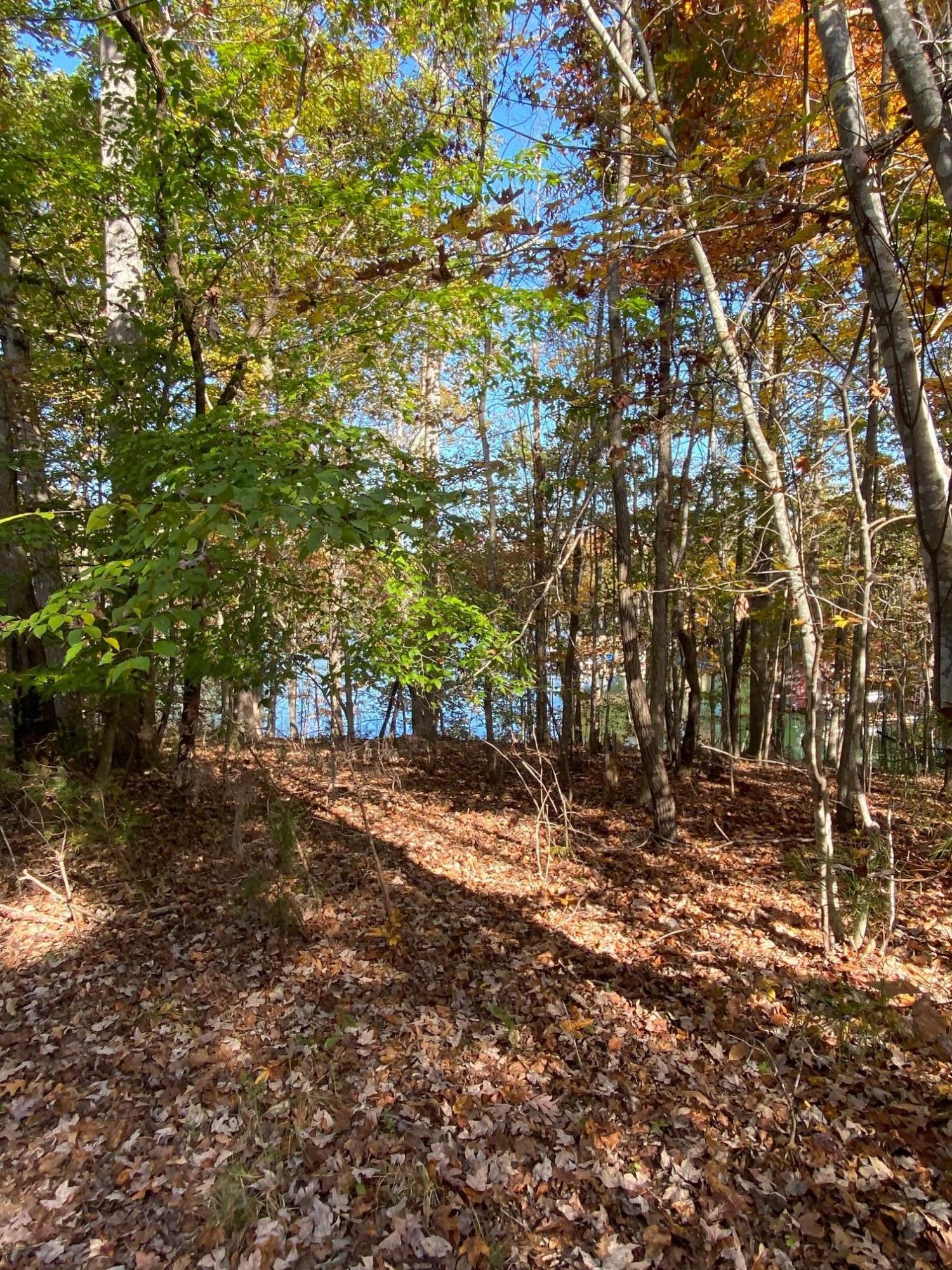 Lot 2 Trading Post Road Huddleston, VA 24104 - Photo 13 of 24 Waterfront Lot