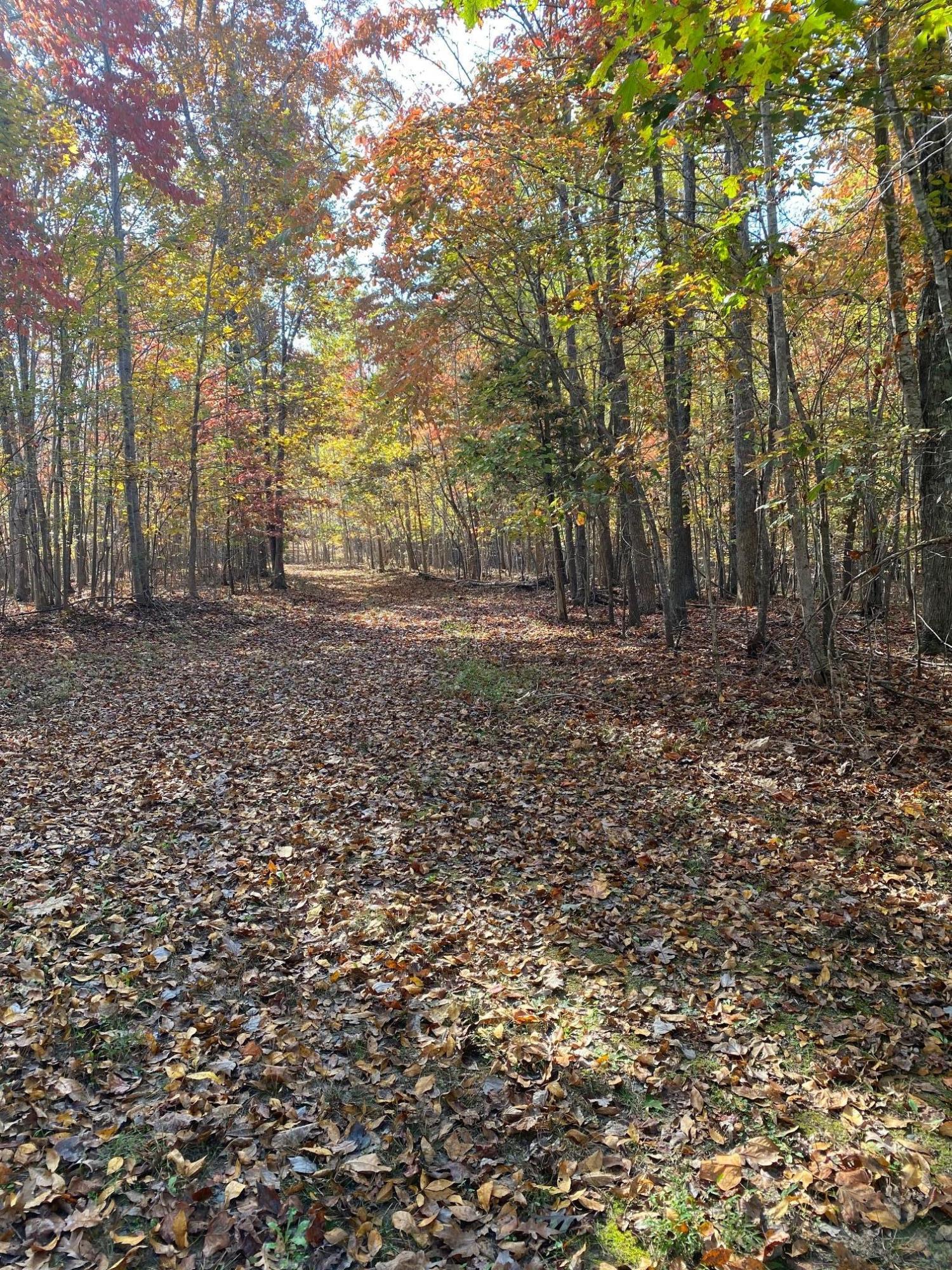 Lot 2 Trading Post Road Huddleston, VA 24104 - Photo 16 of 24 Driving on John Locke Way