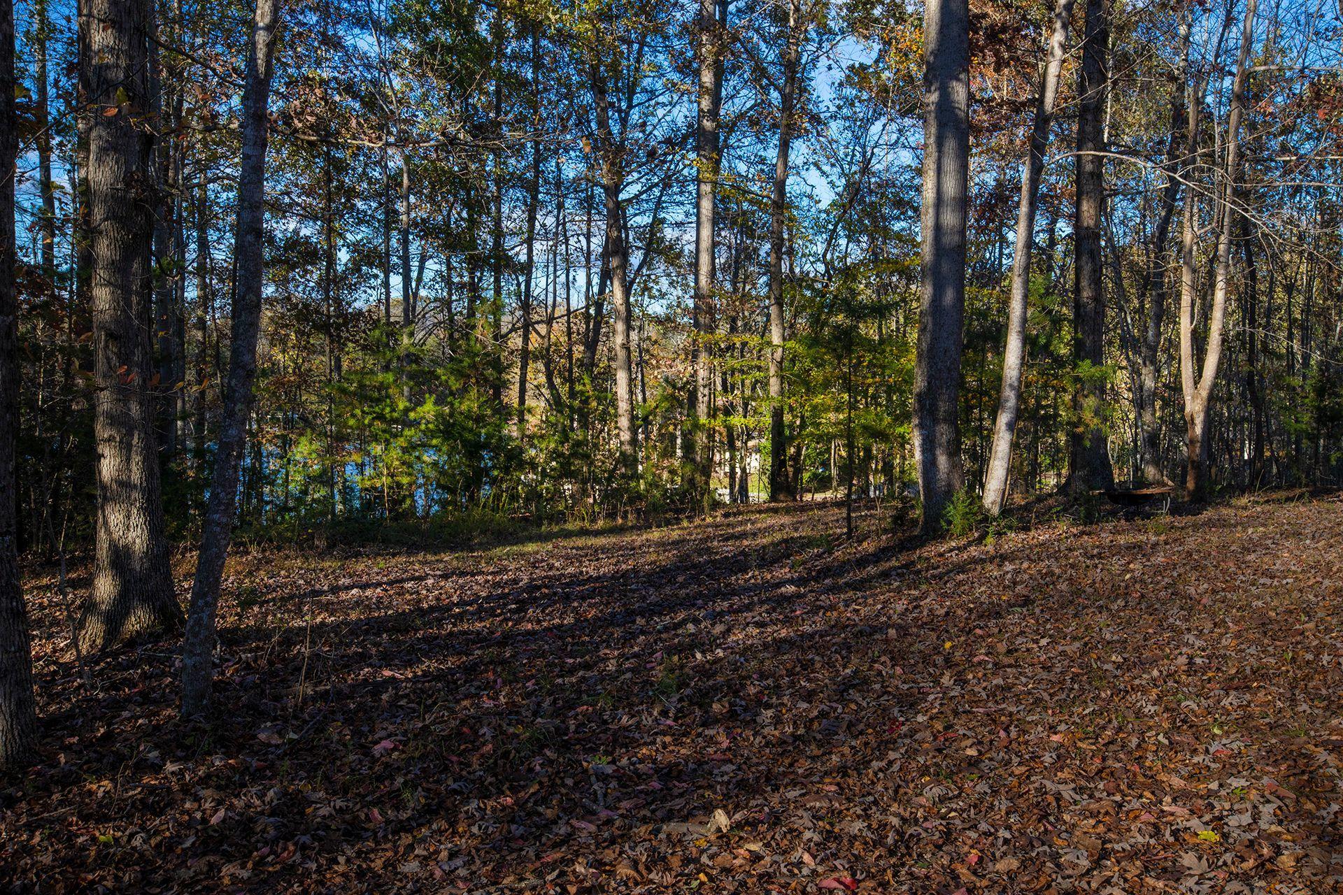 Lot 2 Trading Post Road Huddleston, VA 24104 - Photo 23 of 24 Lot #2 View