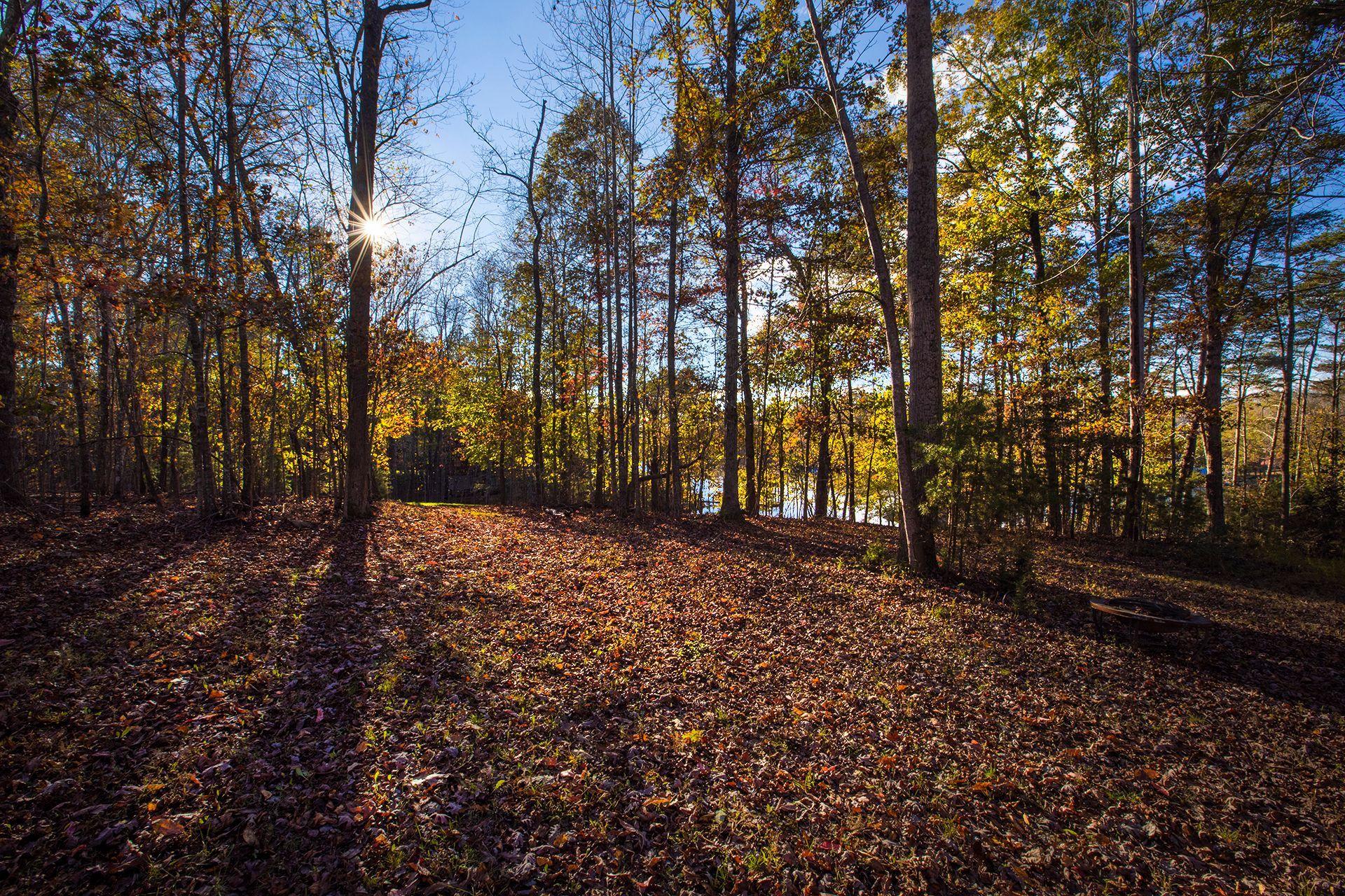 Lot 2 Trading Post Road Huddleston, VA 24104 - Photo 24 of 24 Sun shining through!