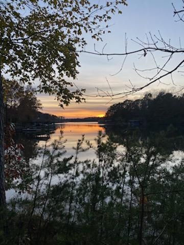 Lot 2 Trading Post Road Huddleston, VA 24104 - Photo 3 of 24 Wooded Sunset view Lot 2