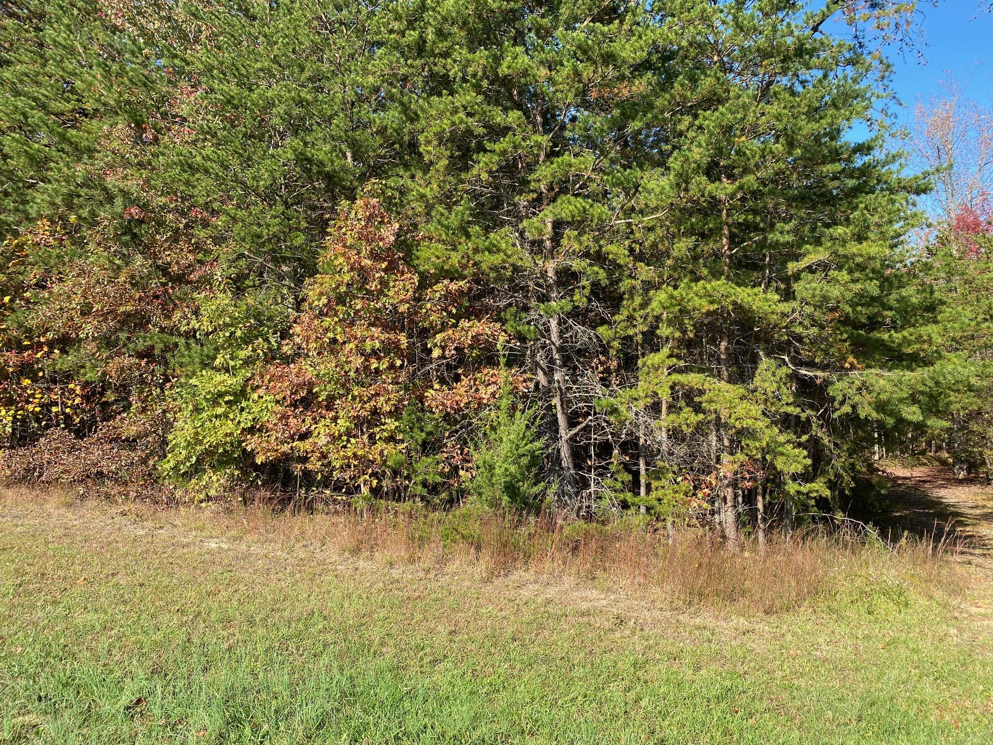 Lot 2 Trading Post Road Huddleston, VA 24104 - Photo 7 of 24 Road Frontage on Trading Post