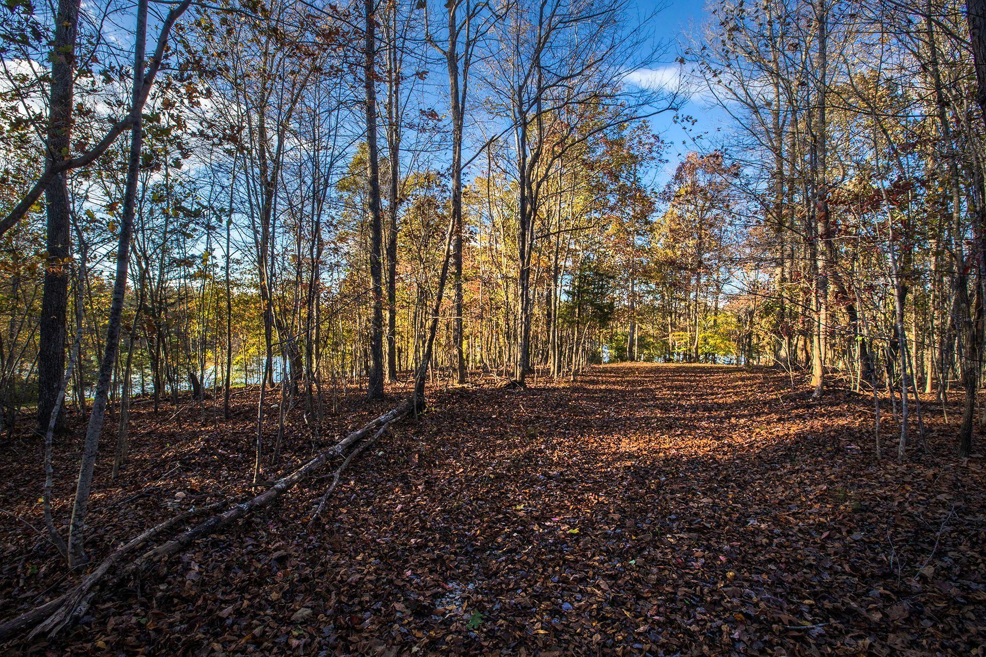 Lot 2 Trading Post Road Huddleston, VA 24104 - Photo 8 of 24 John Locke Way pathway to the lake