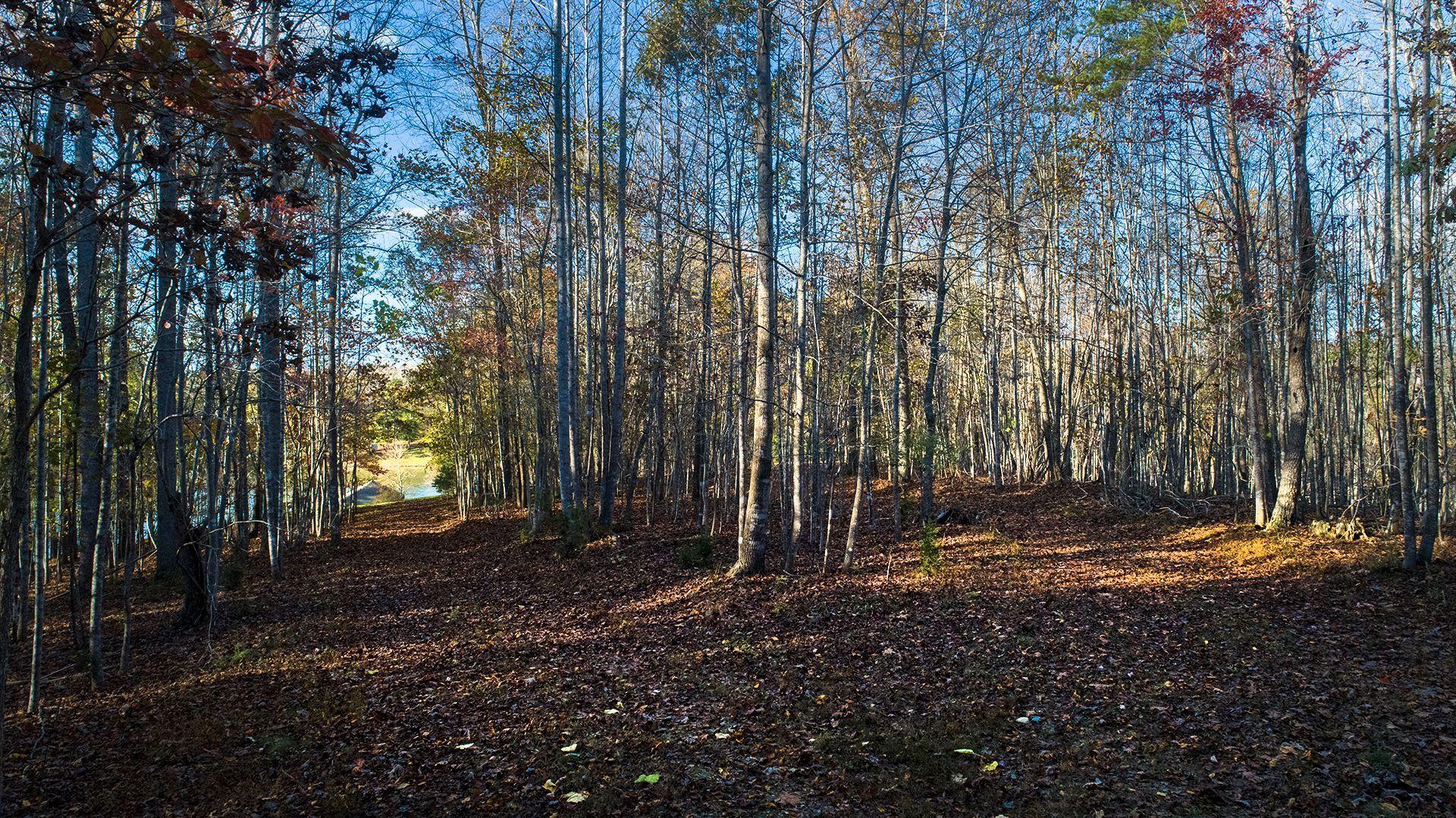 Lot 2 Trading Post Road Huddleston, VA 24104 - Photo 9 of 24 John Locke Way between Lots 1 & 2