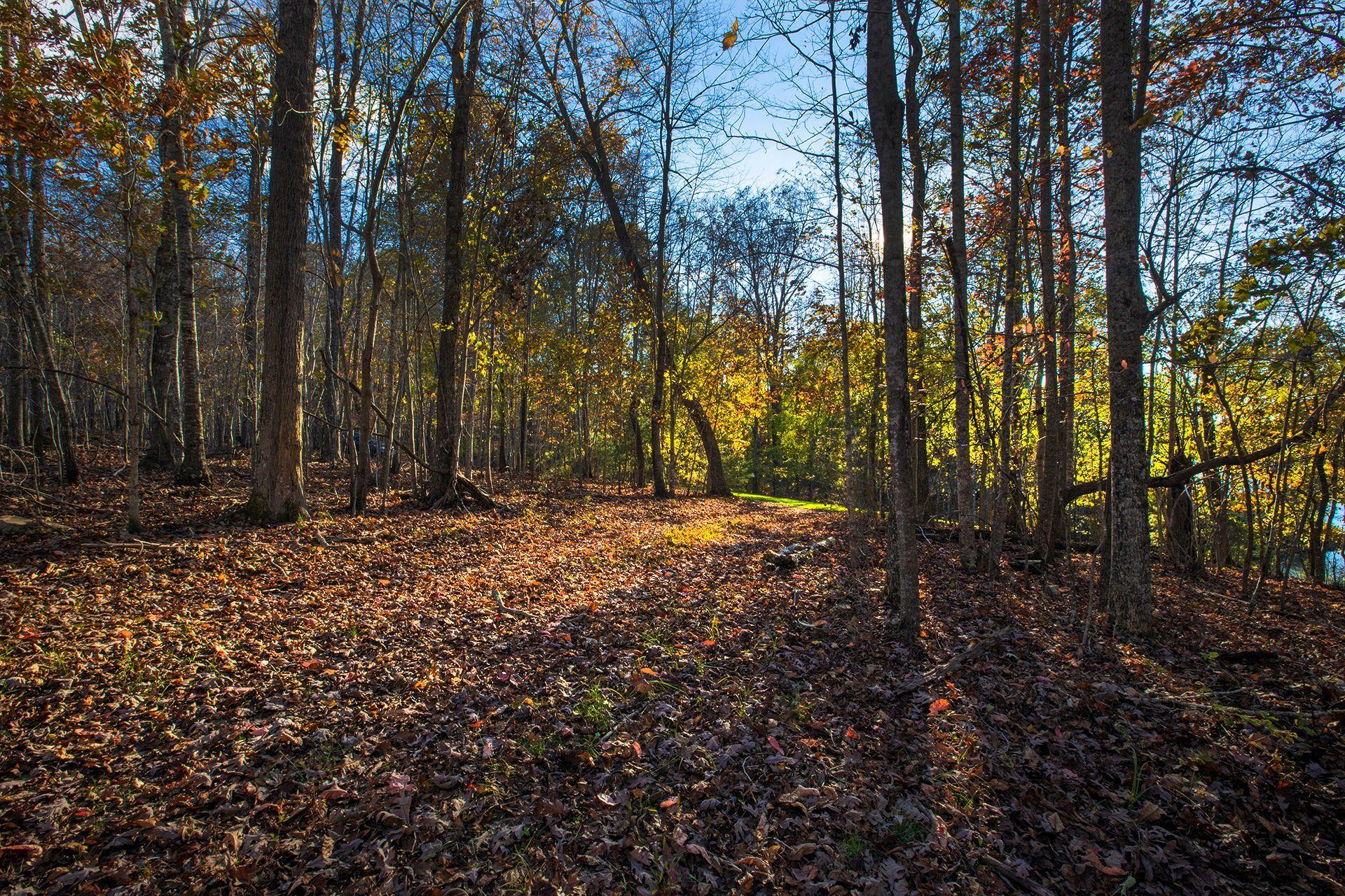 Lot 2 Trading Post Road Huddleston, VA 24104 - Photo 10 of 24 Lot #2 looking towards Lot #1