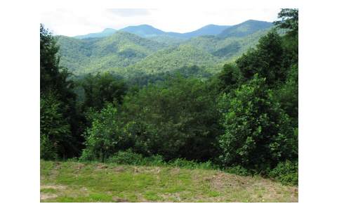 145-ac Boiling Springs Road Murphy, NC 28906 - Photo 1 of 1 a view of a mountain in the distance in a forest