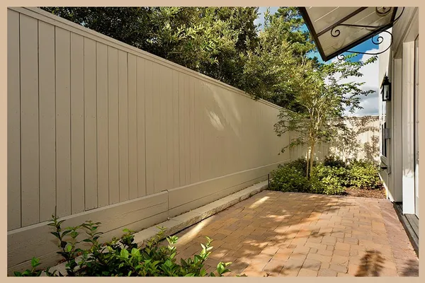 a view of a backyard with plants