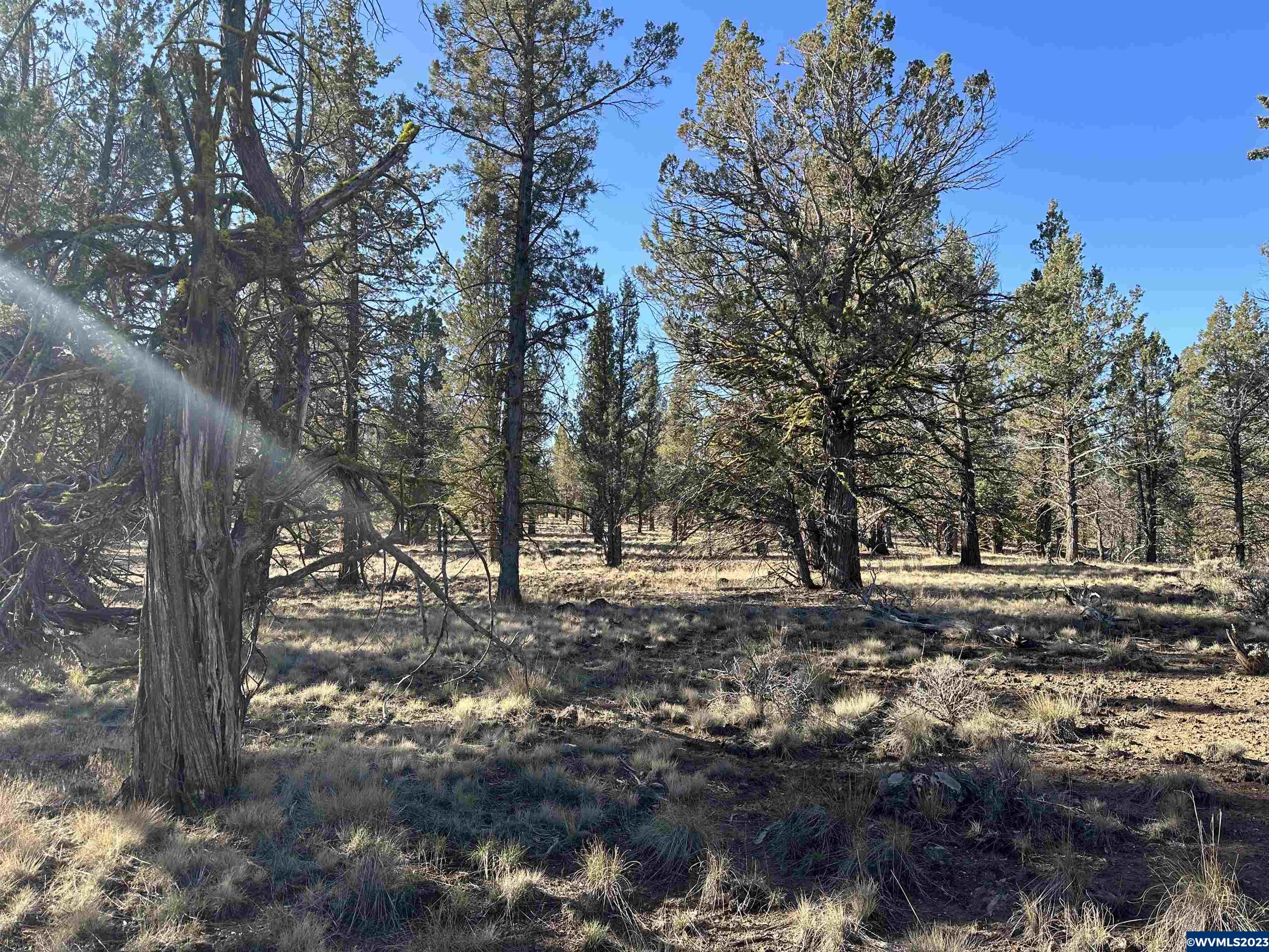 1300 Fishhole Creek Road Bly, OR 97622 - Photo 16 of 25