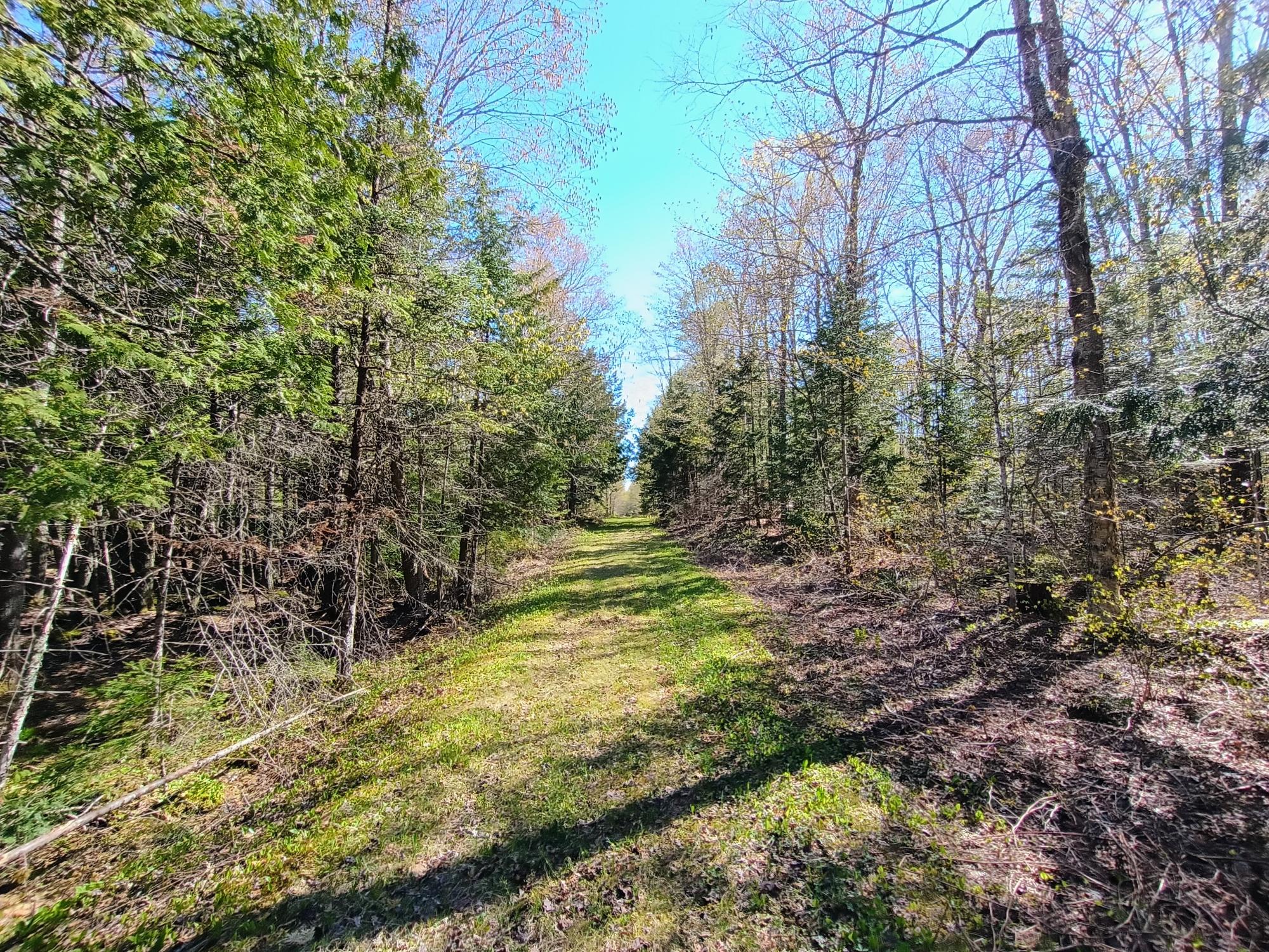 40-ac On Nig Rein Road, Unit 40 AC Glidden, WI 54527 - Photo 7 of 26 Gallery Image 7