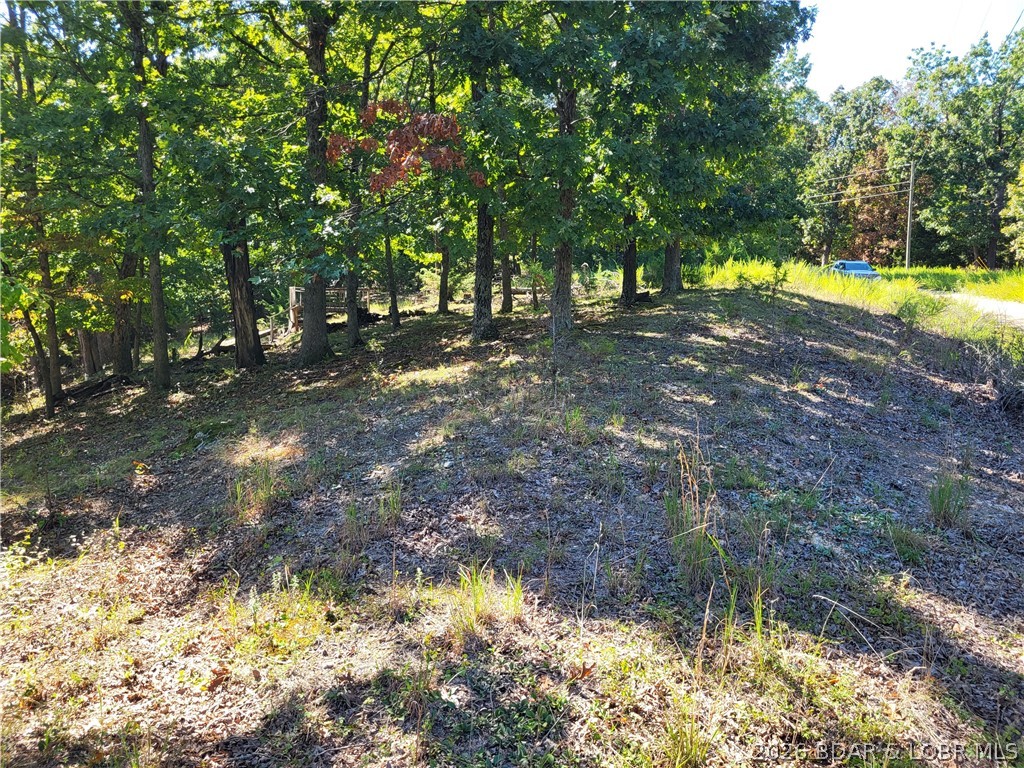 32534 Compromise Road Gravois Mills, MO 65037 - Photo 11 of 12