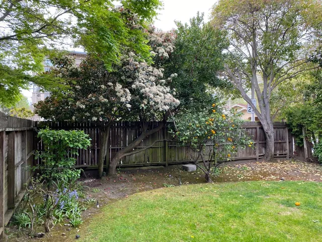 a backyard of a house with plants and tree