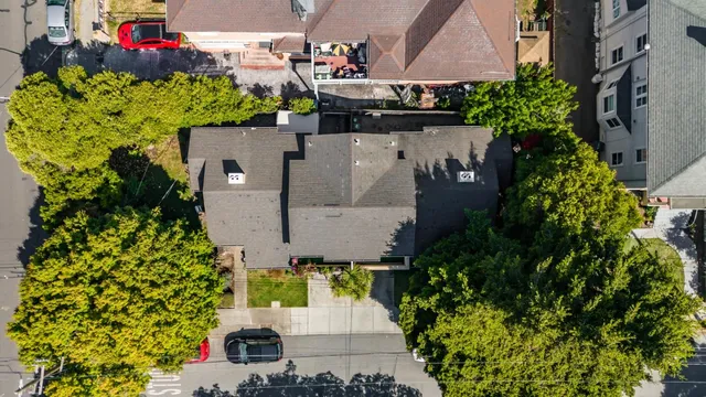 a picture of flowers