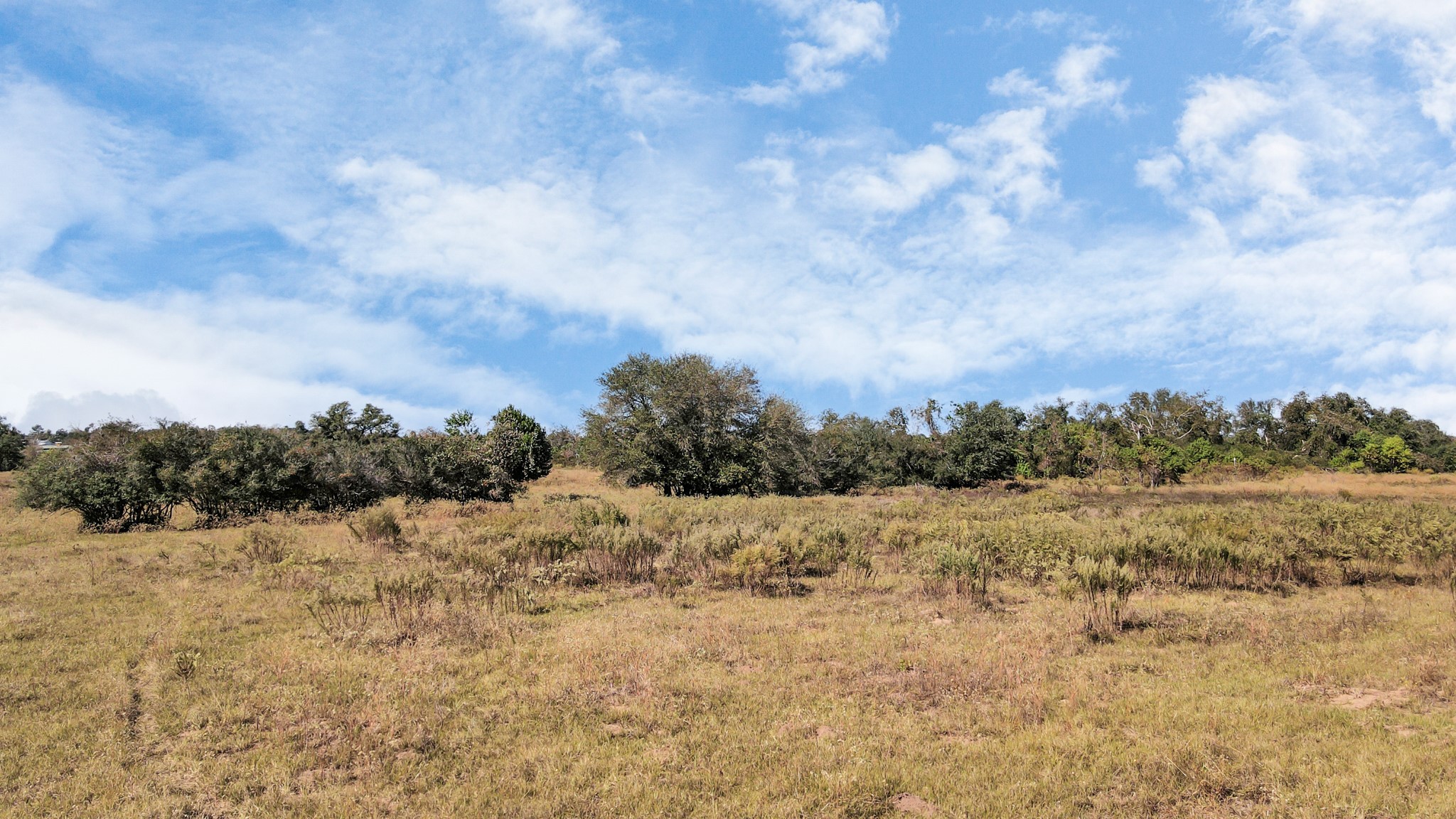 14793 Blinka Road Waller, TX 77484 - Photo 21 of 50 a view of mountain view with trees around