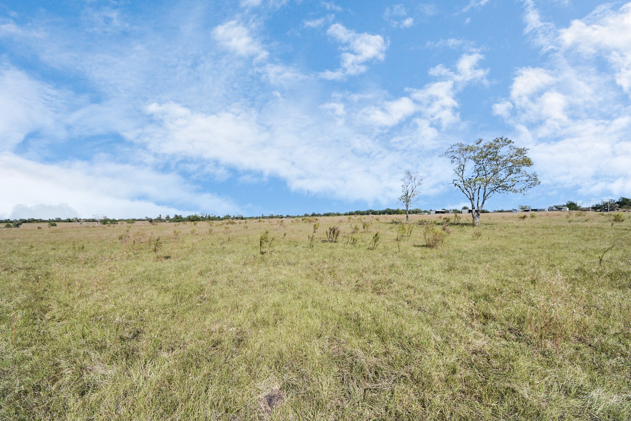 14793 Blinka Road Waller, TX 77484 - Photo 30 of 50 a view of a lake view