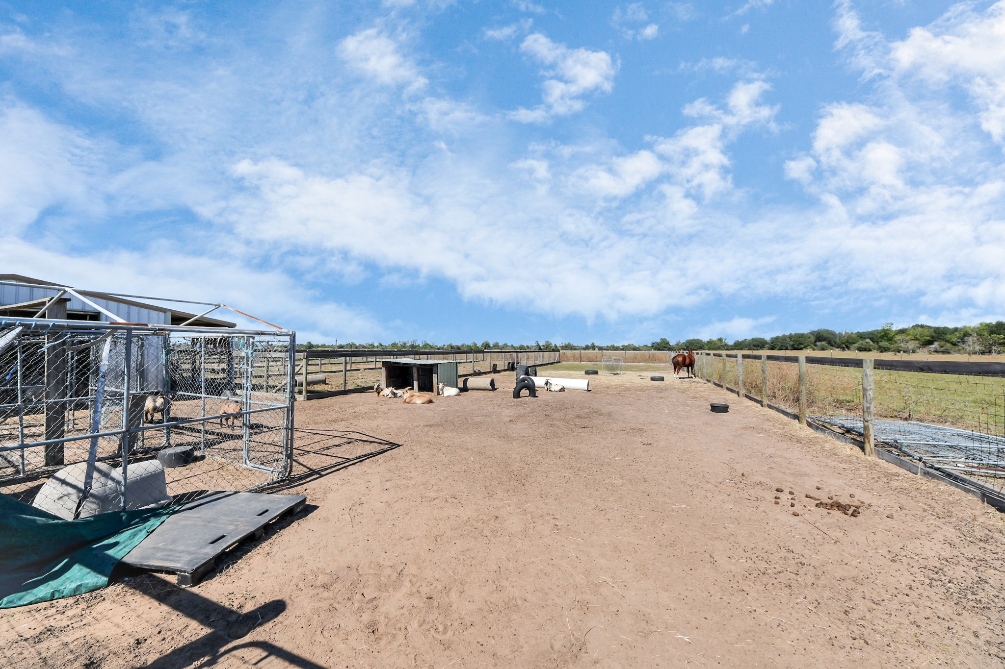 14793 Blinka Road Waller, TX 77484 - Photo 43 of 50 a view of a terrace with a yard
