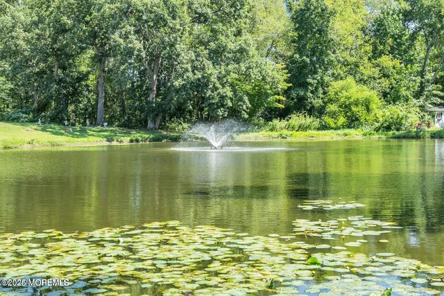 a large pool of the water with a large trees