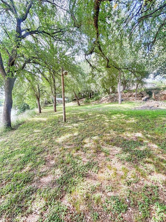 101 Riverview Road Millsap, TX 76066 - Photo 17 of 26 a view of a field with a tree
