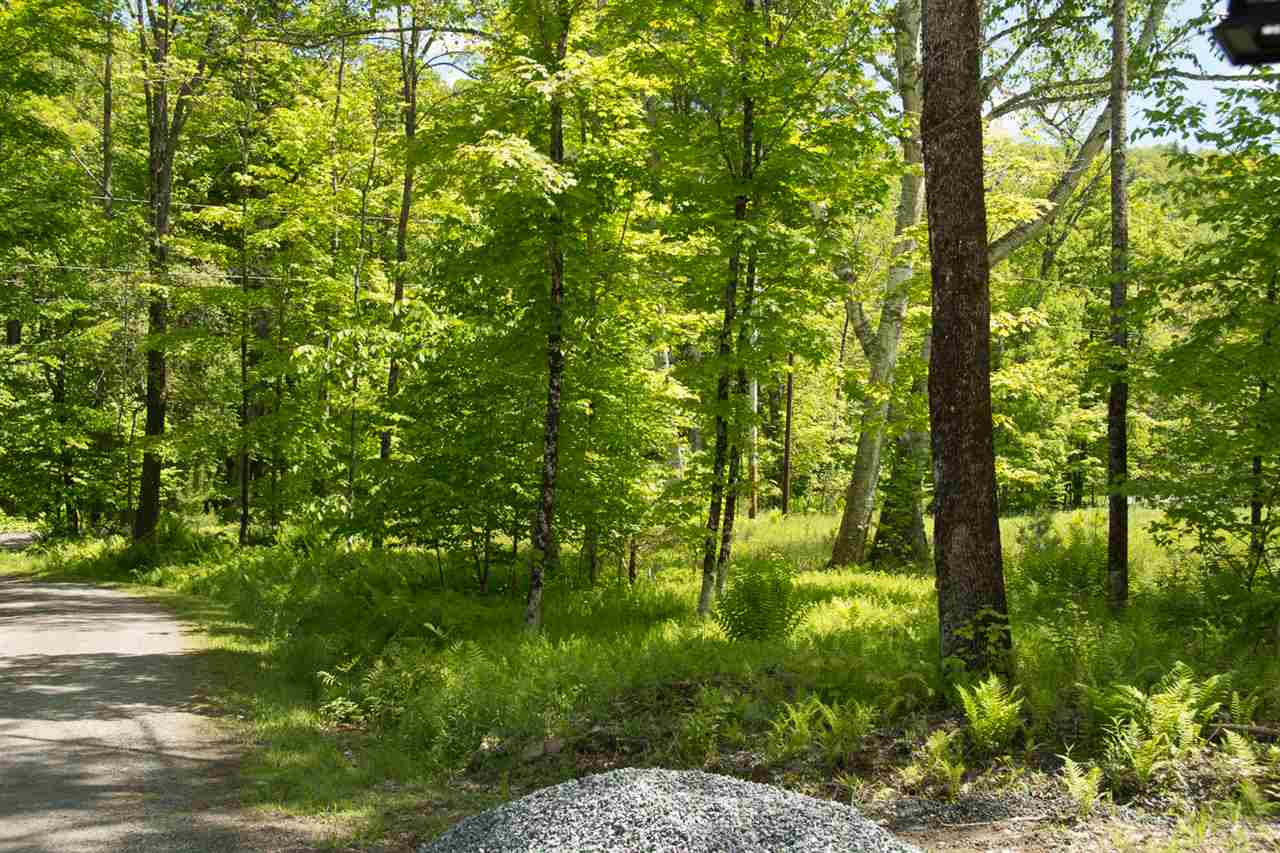 104 Turnpike Road Strafford, VT 05070 - Photo 19 of 19
