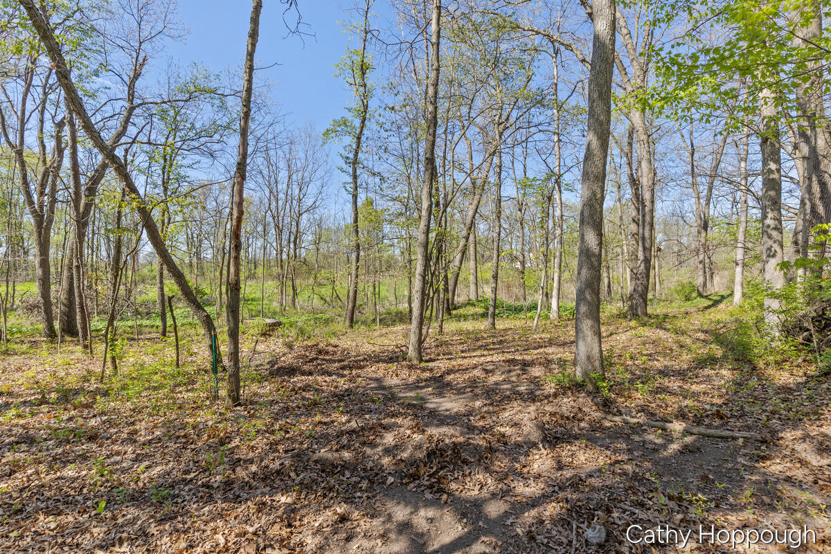 1057 West Tuttle Road Ionia, MI 48846 - Photo 11 of 32 1057-W-Tuttle_012