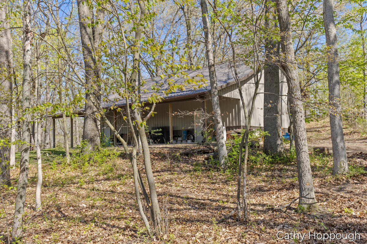 1057 West Tuttle Road Ionia, MI 48846 - Photo 12 of 32 1057-W-Tuttle_013